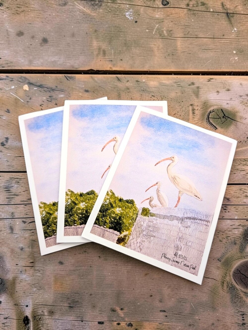 Set Of 12 Premium Watercolor Notecards: Three Ibises